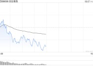 午评：指数调整创指半日跌超1% AI相关股陷入回调