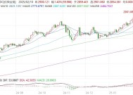 现货黄金站上2900美元大关 续刷历史新高