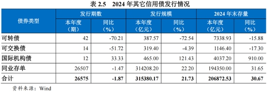 2024年债券市场发展报告