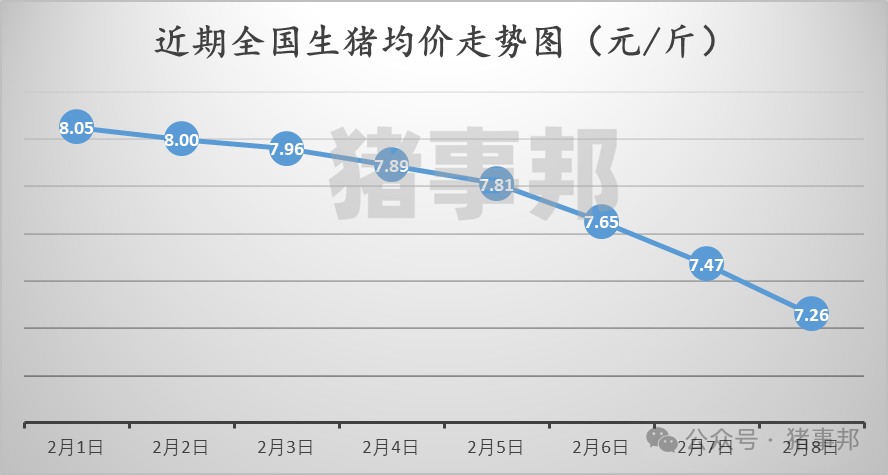 2月8日猪价汇总（继续普跌，局地见“6”！）